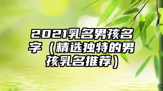 2021乳名男孩名字（精选独特的男孩乳名推荐）