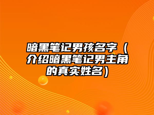 暗黑笔记男孩名字（介绍暗黑笔记男主角的真实姓名）