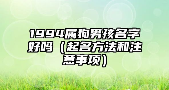 1994属狗男孩名字好吗（起名方法和注意事项）