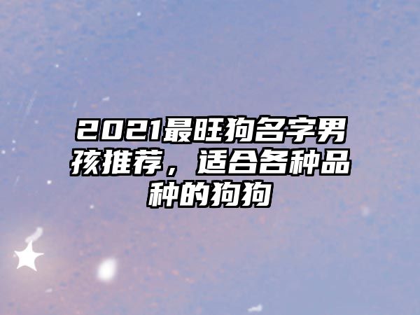 2021最旺狗名字男孩推荐，适合各种品种的狗狗