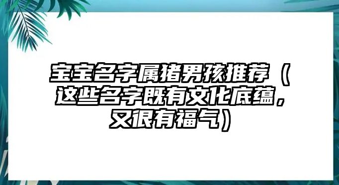 宝宝名字属猪男孩推荐（这些名字既有文化底蕴，又很有福气）