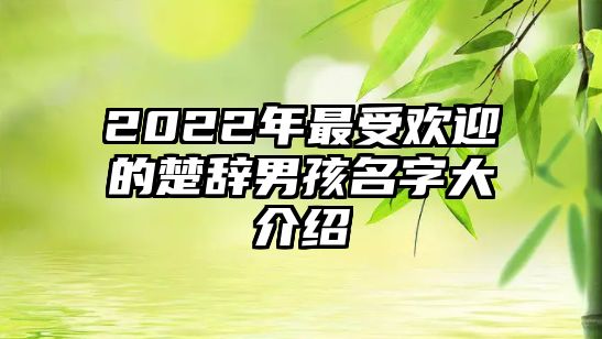 2022年最受欢迎的楚辞男孩名字大介绍