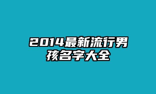 2014最新流行男孩名字大全