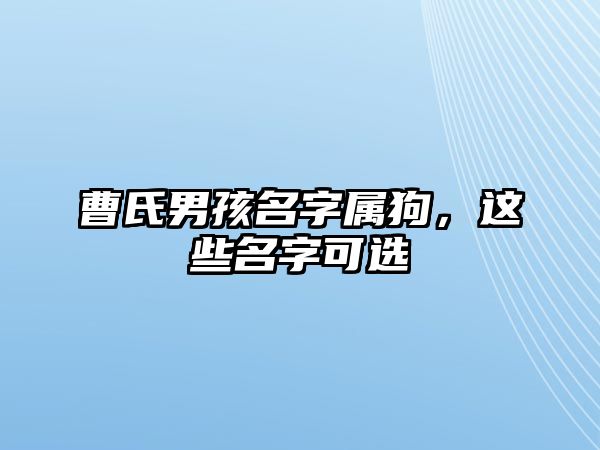 曹氏男孩名字属狗，这些名字可选