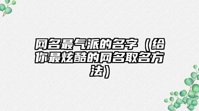 网名最气派的名字（给你最炫酷的网名取名方法）