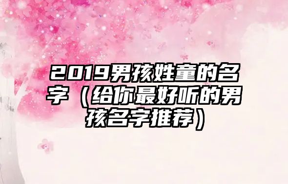 2019男孩姓童的名字（给你最好听的男孩名字推荐）