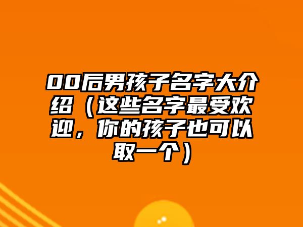 00后男孩子名字大介绍（这些名字最受欢迎，你的孩子也可以取一个）