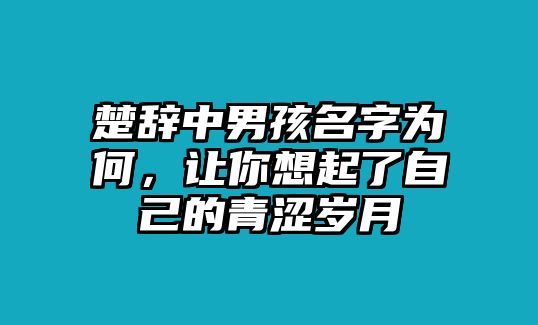 楚辞中男孩名字为何，让你想起了自己的青涩岁月