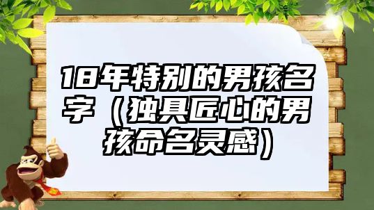 18年特别的男孩名字（独具匠心的男孩命名灵感）