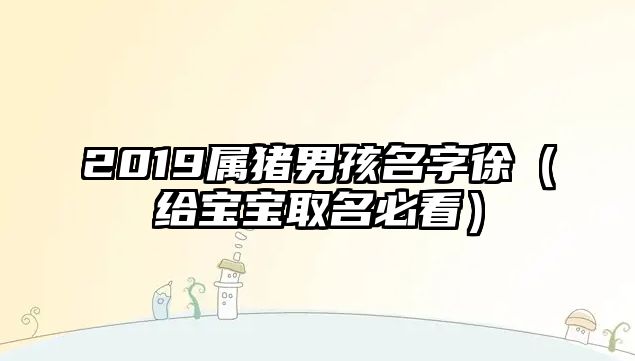 2019属猪男孩名字徐（给宝宝取名必看）