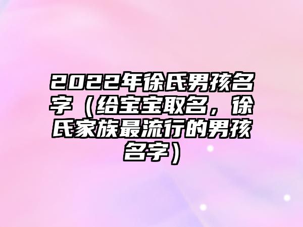 2022年徐氏男孩名字（给宝宝取名，徐氏家族最流行的男孩名字）