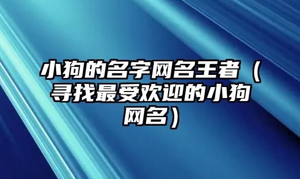 小狗的名字网名王者（寻找最受欢迎的小狗网名）