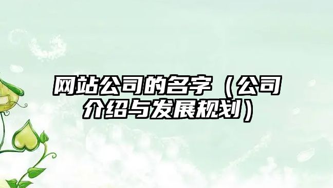 网站公司的名字（公司介绍与发展规划）