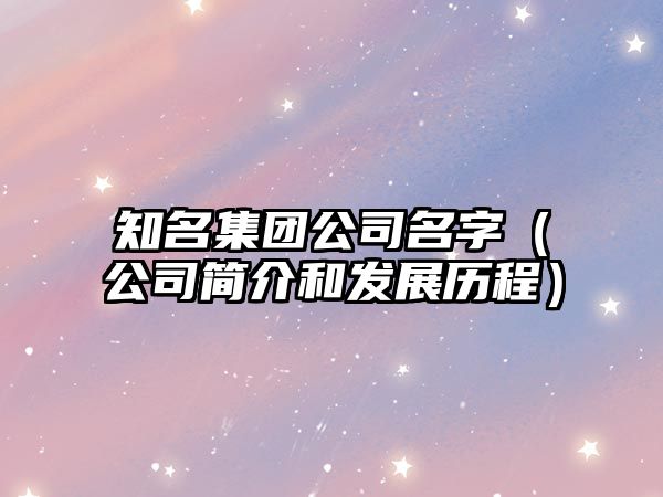 知名集团公司名字（公司简介和发展历程）