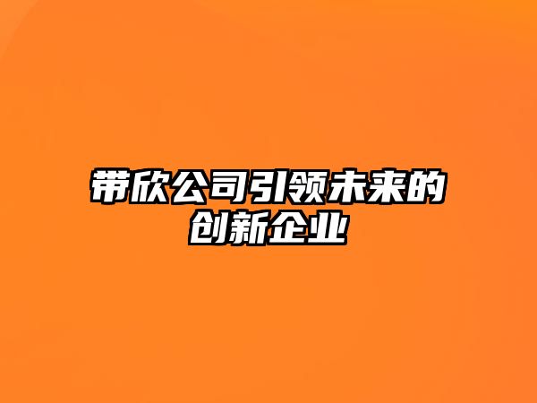 带欣公司引领未来的创新企业