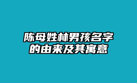 陈母姓林男孩名字的由来及其寓意