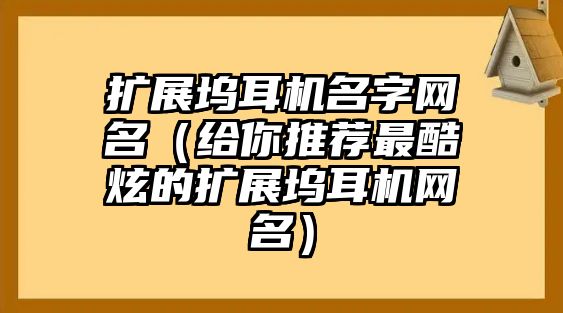 扩展坞耳机名字网名（给你推荐最酷炫的扩展坞耳机网名）