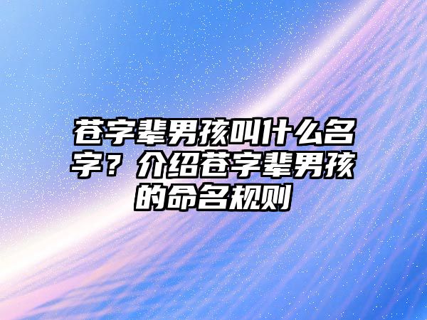 苍字辈男孩叫什么名字？介绍苍字辈男孩的命名规则