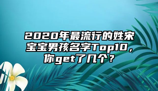 2020年最流行的姓宋宝宝男孩名字Top10，你get了几个？