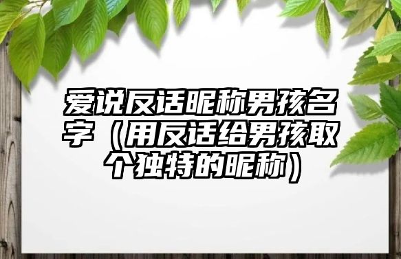 爱说反话昵称男孩名字（用反话给男孩取个独特的昵称）