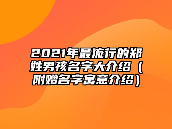 2021年最流行的郑姓男孩名字大介绍（附赠名字寓意介绍）