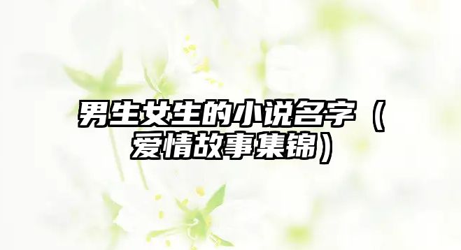 男生女生的小说名字（爱情故事集锦）