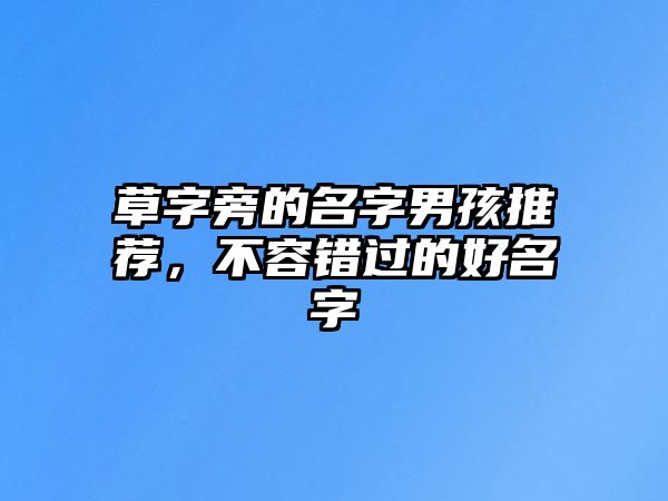 草字旁的名字男孩推荐，不容错过的好名字