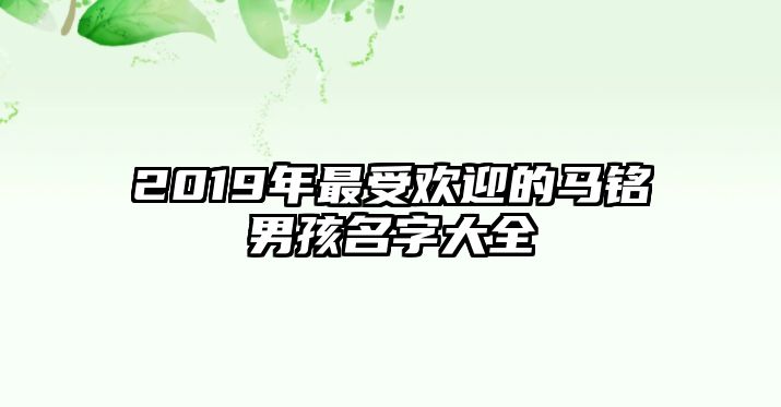 2019年最受欢迎的马铭男孩名字大全