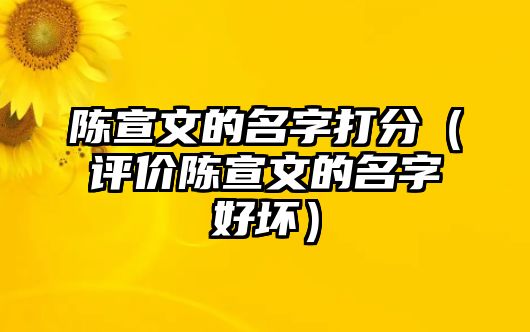 陈宣文的名字打分（评价陈宣文的名字好坏）