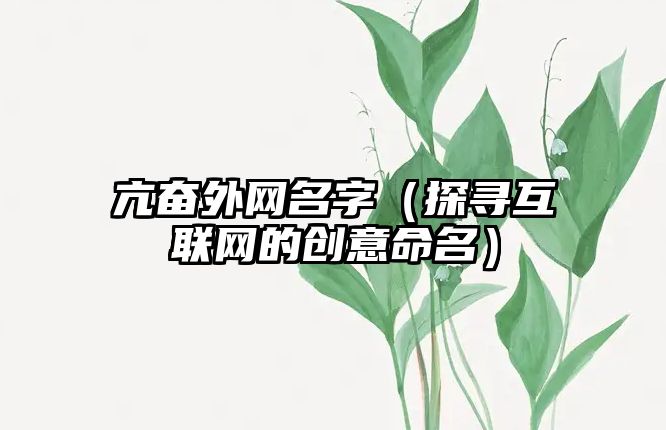 亢奋外网名字（探寻互联网的创意命名）