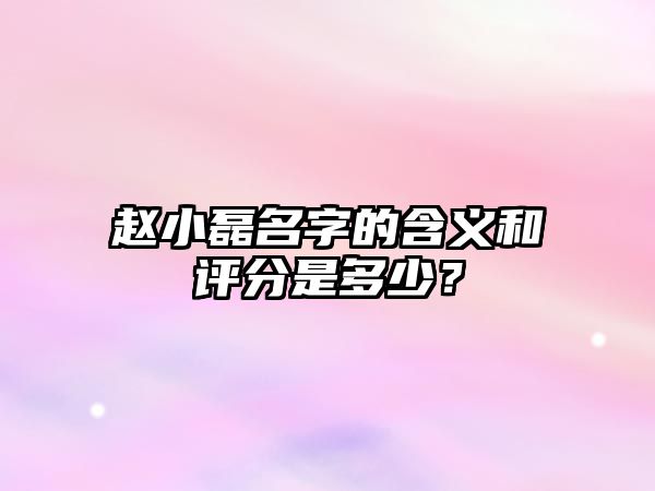 赵小磊名字的含义和评分是多少？