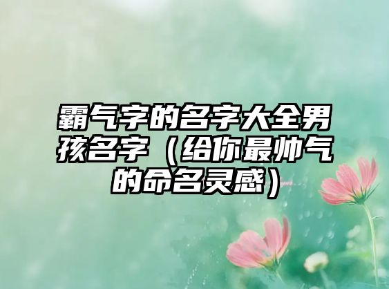 霸气字的名字大全男孩名字（给你最帅气的命名灵感）