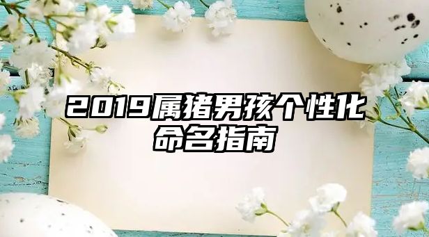 2019属猪男孩个性化命名指南