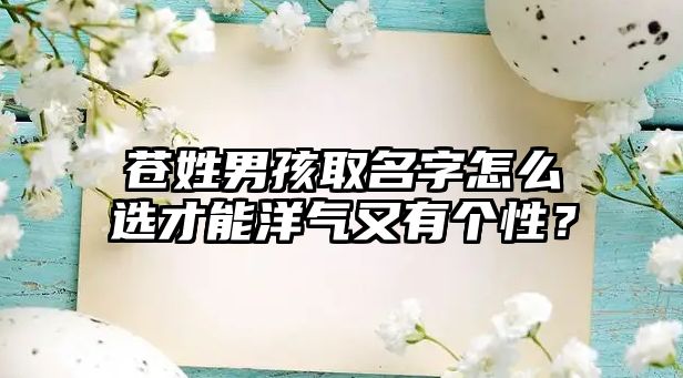 苍姓男孩取名字怎么选才能洋气又有个性？