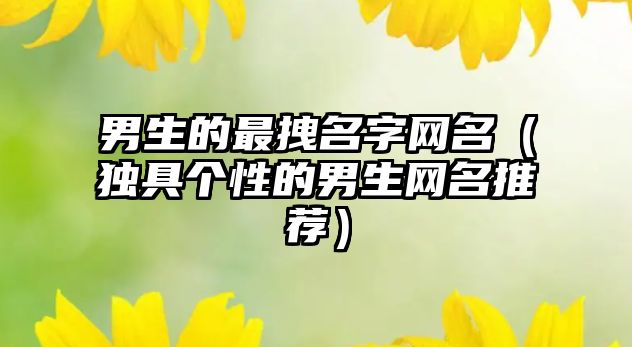 男生的最拽名字网名（独具个性的男生网名推荐）