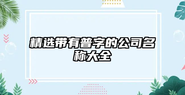 精选带有普字的公司名称大全