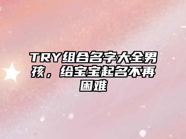 TRY组合名字大全男孩，给宝宝起名不再困难