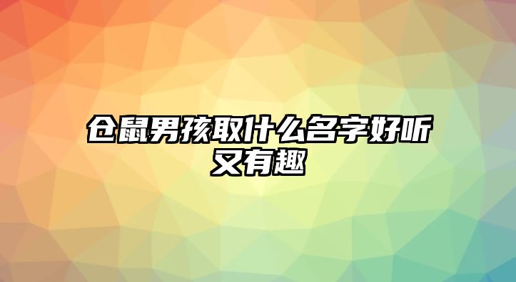 仓鼠男孩取什么名字好听又有趣