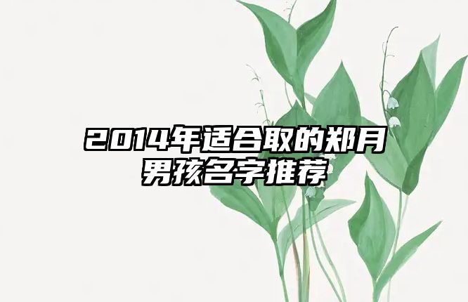 2014年适合取的郑月男孩名字推荐