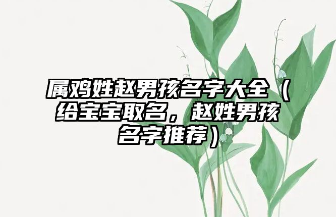 属鸡姓赵男孩名字大全（给宝宝取名，赵姓男孩名字推荐）