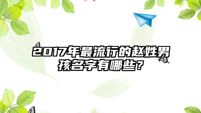 2017年最流行的赵姓男孩名字有哪些？