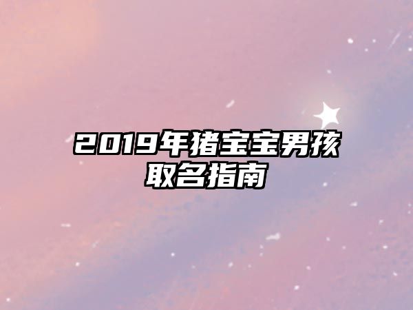 2019年猪宝宝男孩取名指南