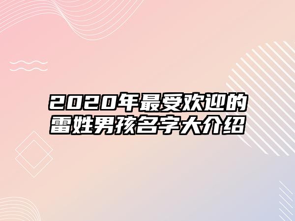 2020年最受欢迎的雷姓男孩名字大介绍