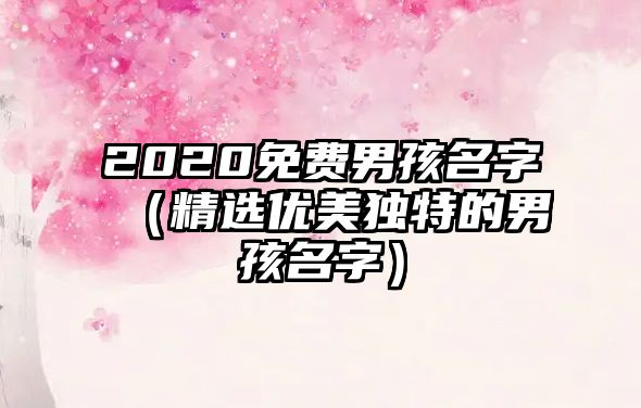 2020免费男孩名字（精选优美独特的男孩名字）