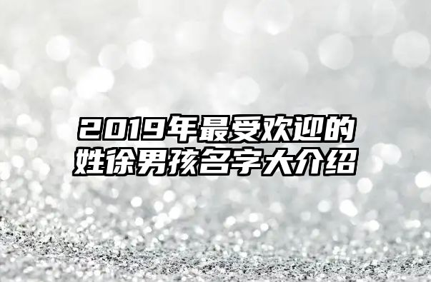 2019年最受欢迎的姓徐男孩名字大介绍