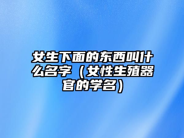 女生下面的东西叫什么名字（女性生殖器官的学名）