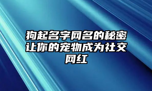 狗起名字网名的秘密让你的宠物成为社交网红