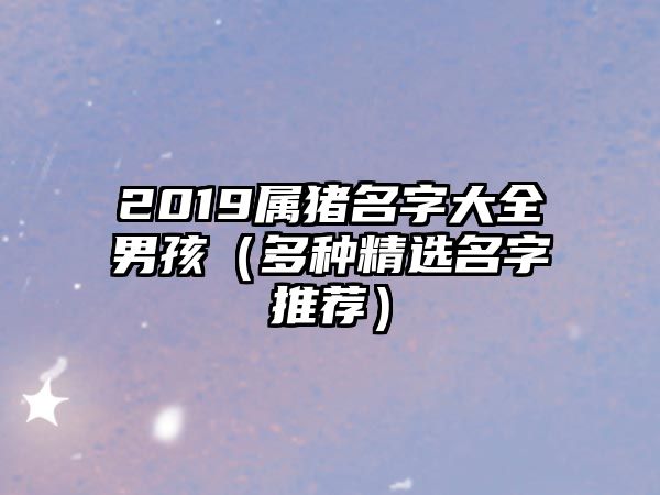 2019属猪名字大全男孩（多种精选名字推荐）