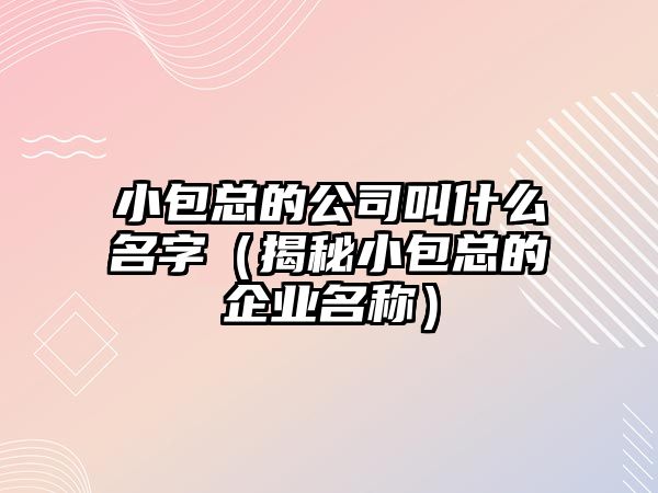 小包总的公司叫什么名字（揭秘小包总的企业名称）