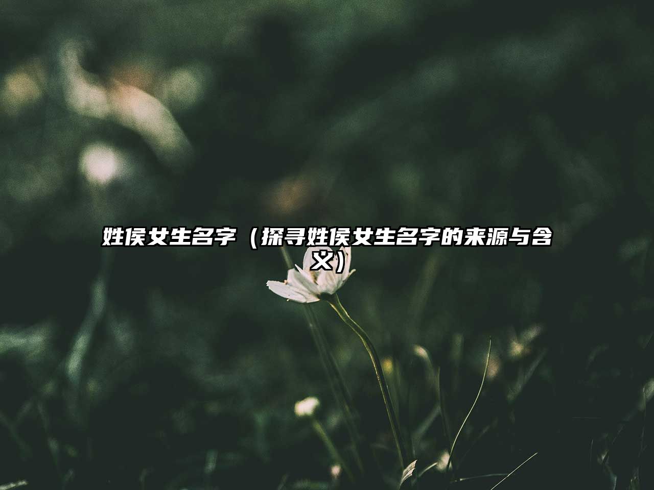 姓侯女生名字（探寻姓侯女生名字的来源与含义）